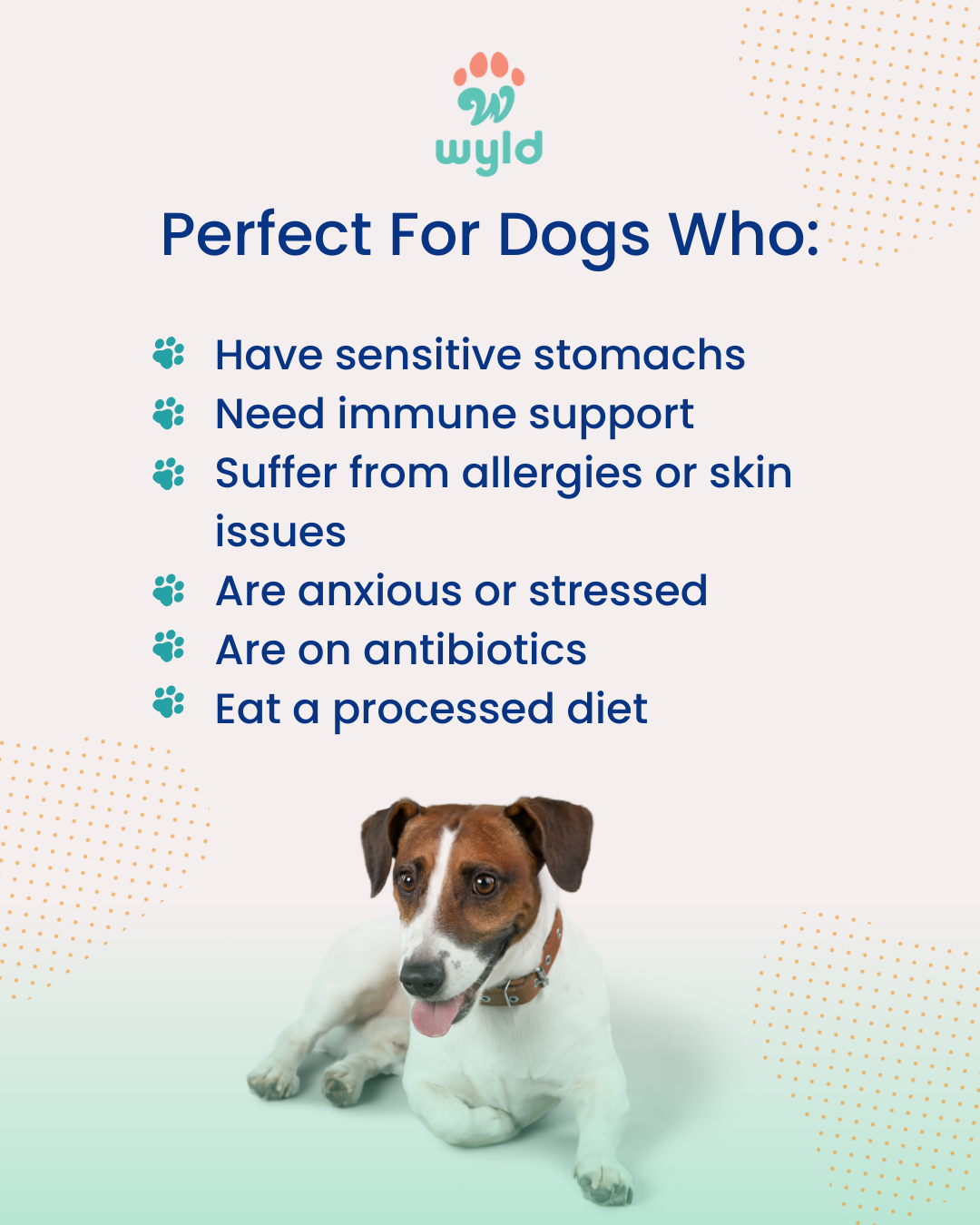Wyld Probiotics - Meal Topper for Healthier Dogs