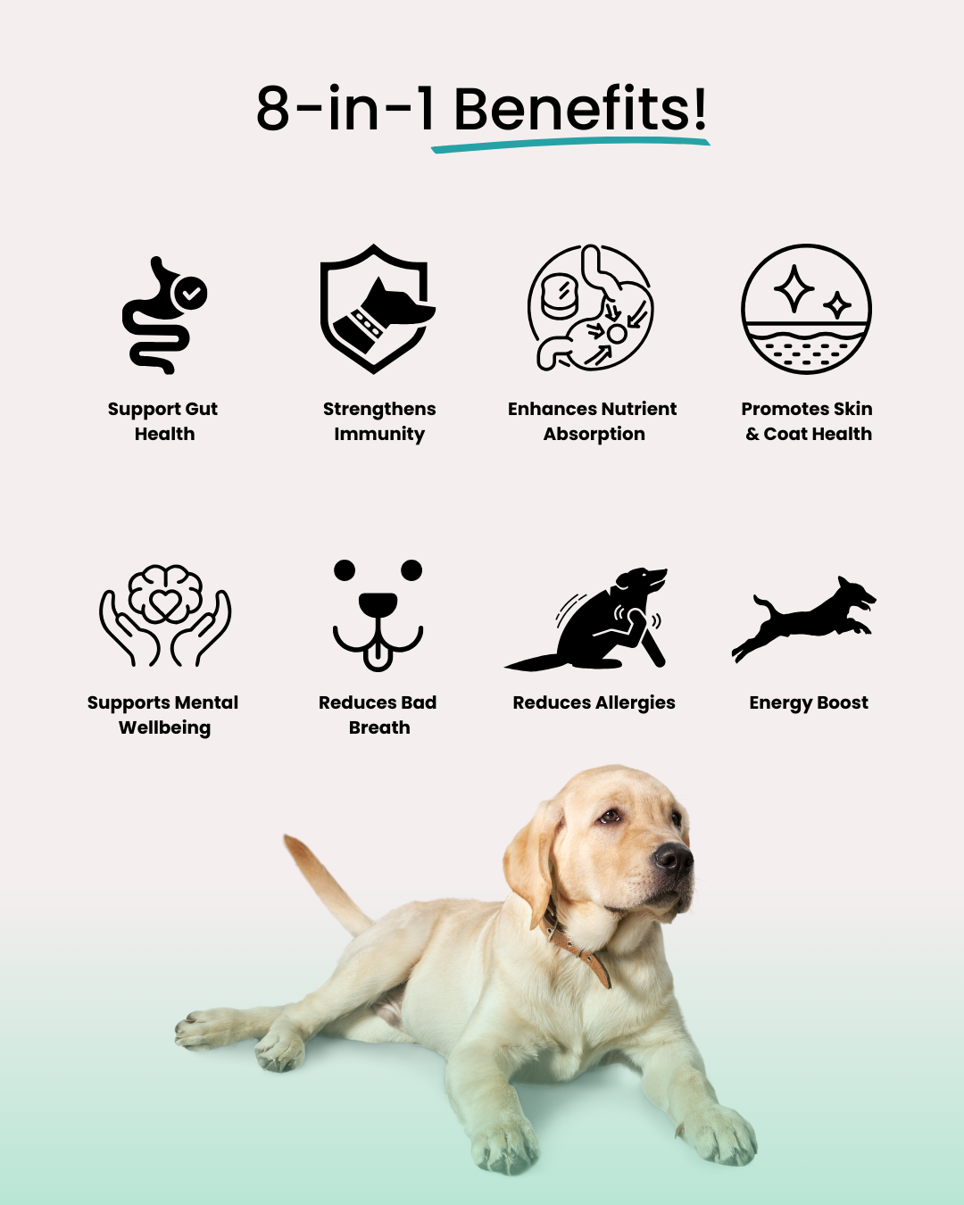 Wyld Probiotics - Meal Topper for Healthier Dogs