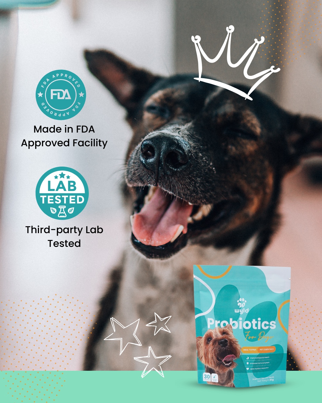 Wyld Probiotics - Meal Topper for Healthier Dogs