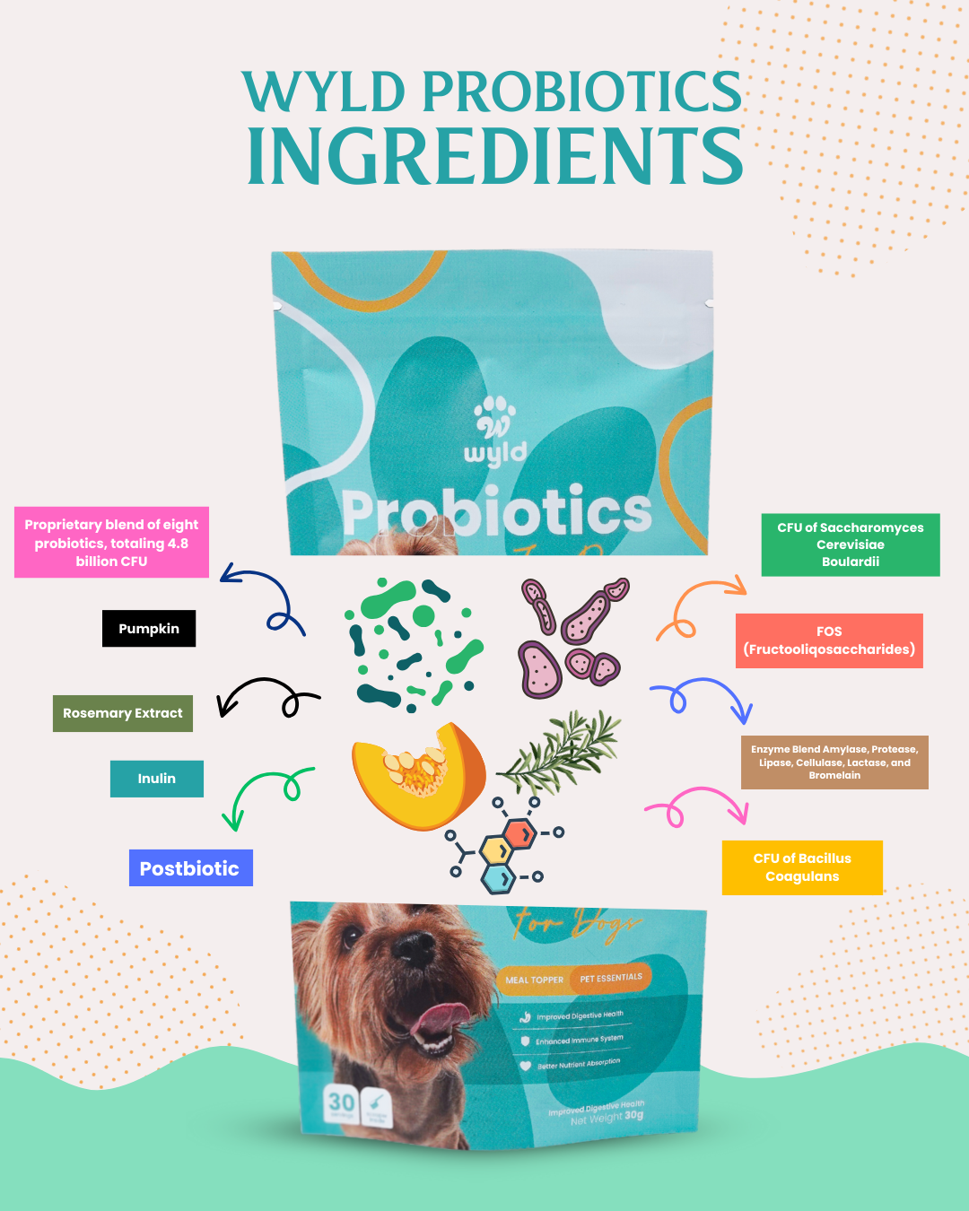 Wyld Probiotics - Meal Topper for Healthier Dogs