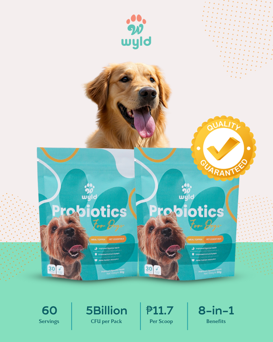 Wyld Probiotics - Meal Topper for Healthier Dogs