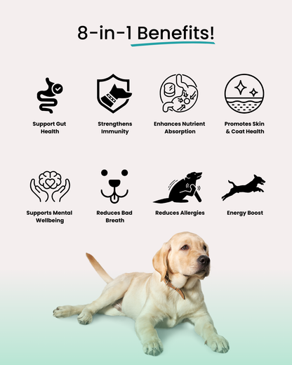 Wyld Probiotics - Meal Topper for Healthier Dogs