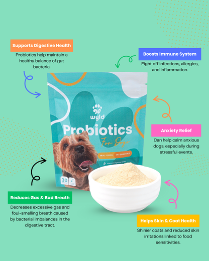 Wyld Probiotics - Meal Topper for Healthier Dogs