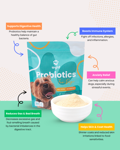 Wyld Probiotics - Meal Topper for Healthier Dogs