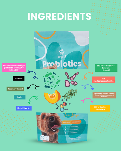 Wyld Probiotics - Meal Topper for Healthier Dogs