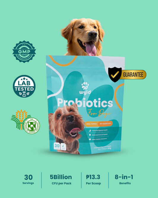 Wyld Probiotics - Meal Topper for Healthier Dogs