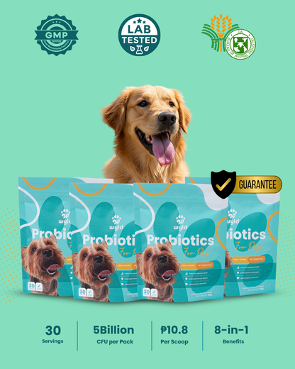 Wyld Probiotics - Meal Topper for Healthier Dogs