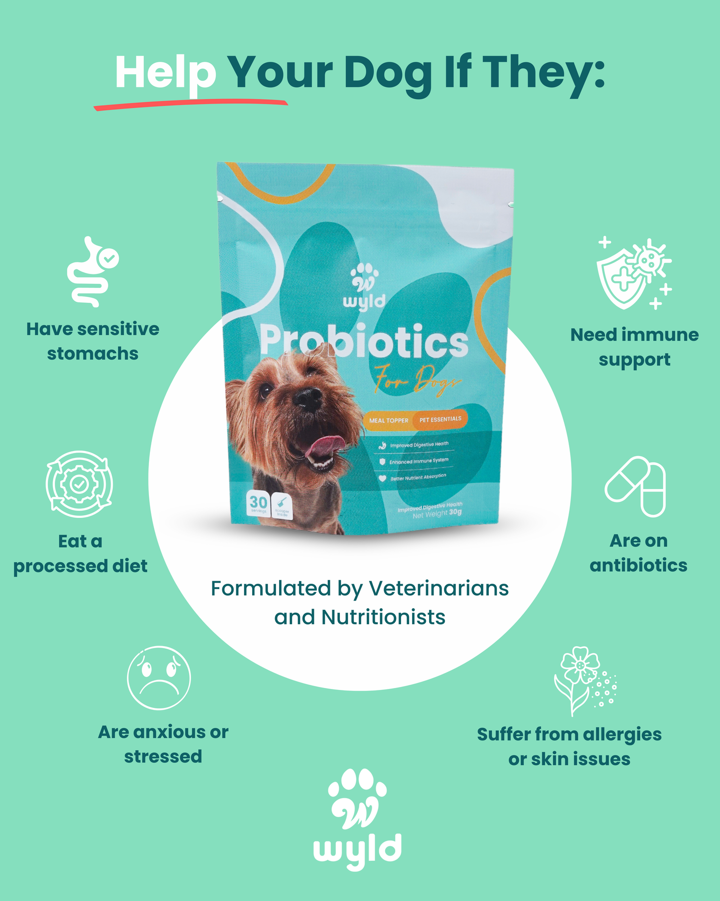 Wyld Probiotics - Meal Topper for Healthier Dogs