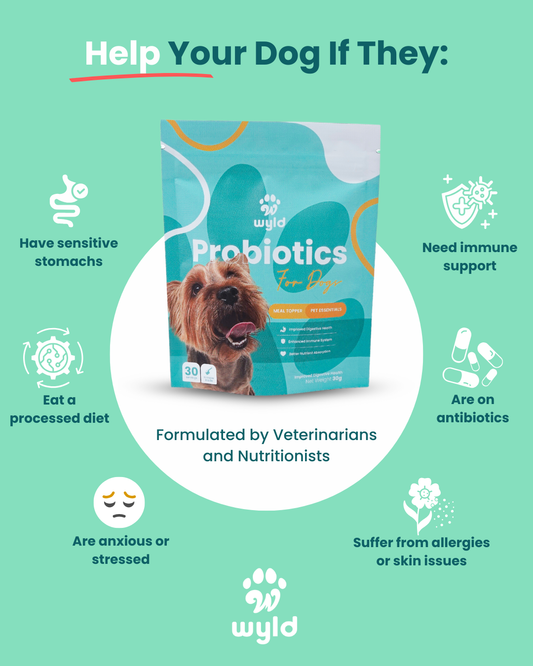 Wyld Probiotics - Meal Topper for Healthier Dogs